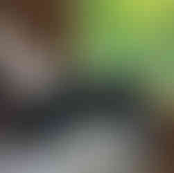 Lil Troubs on Couch Lounging Cat