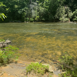 Water edge shoreline