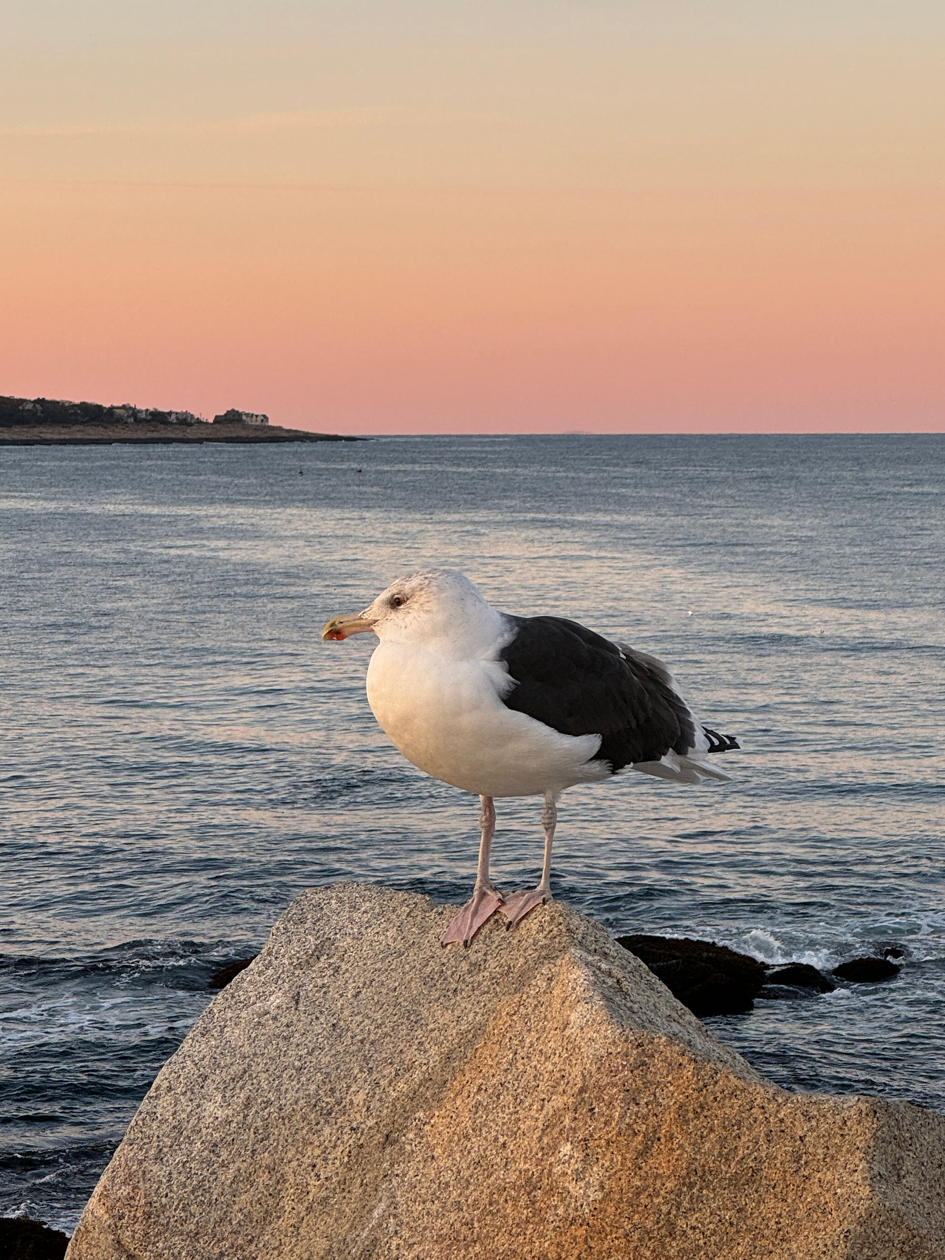 Sunset at Bearskin Neck Breakaway