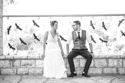 Wedding Photographer: Chen Belachnes