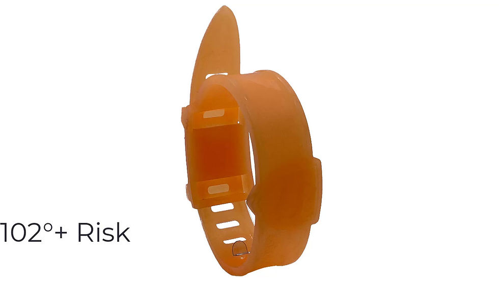 Thumbnail: Heat detection color change Wristband