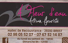 LOGO A FLEUR D'EAU.jpg