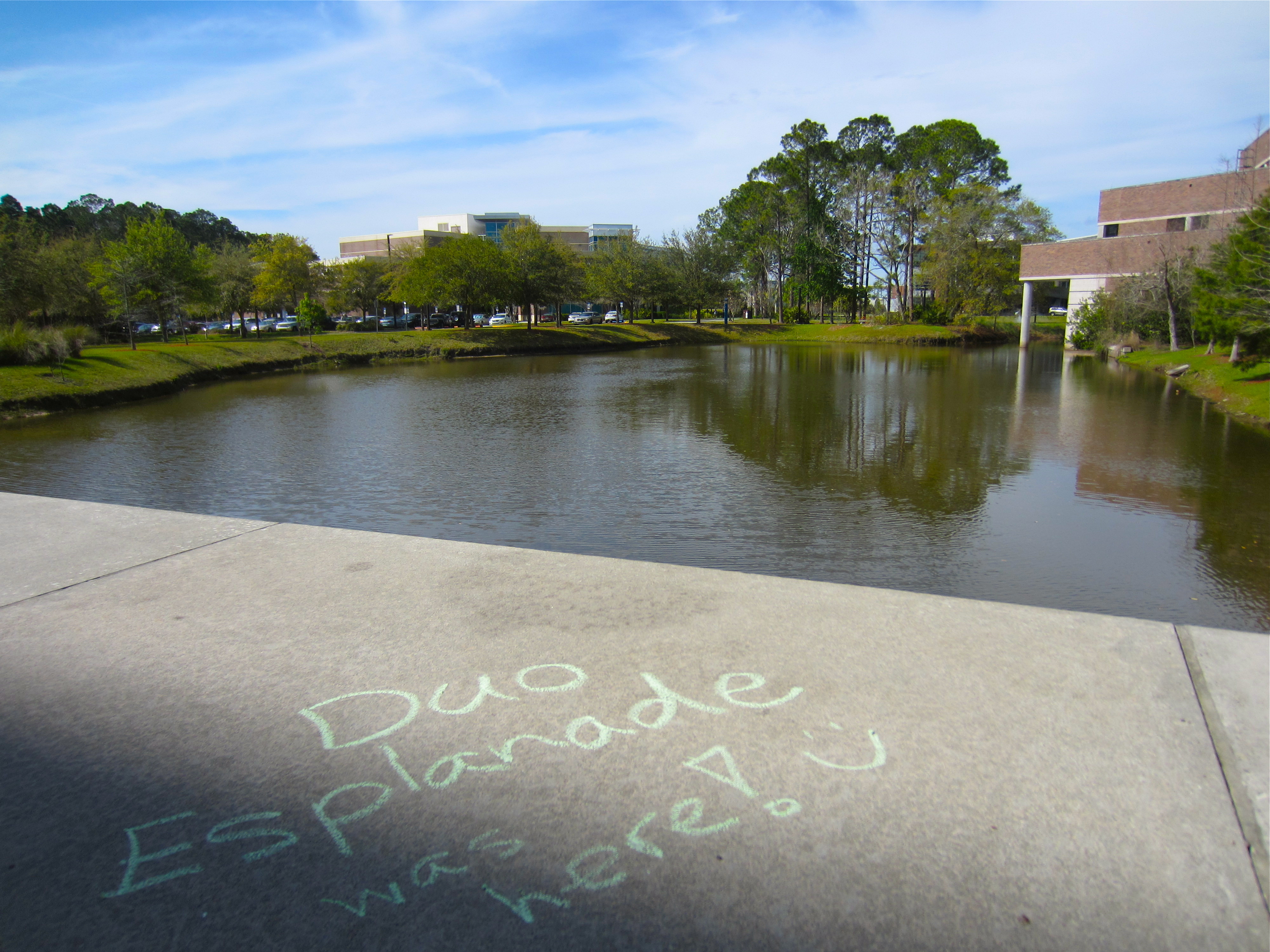 Relaxing just outside UNF library