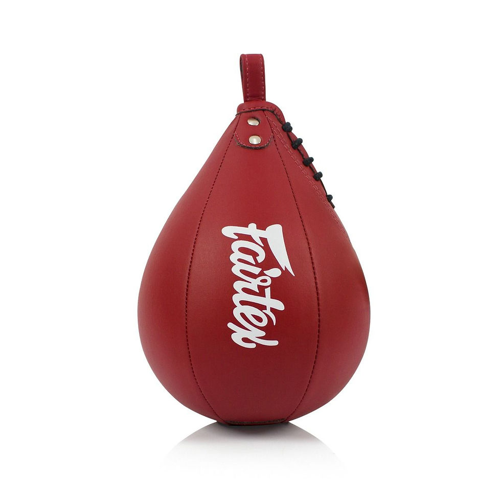 Миниатюра: SB1 Fairtex Speed Ball Пнвмогруша