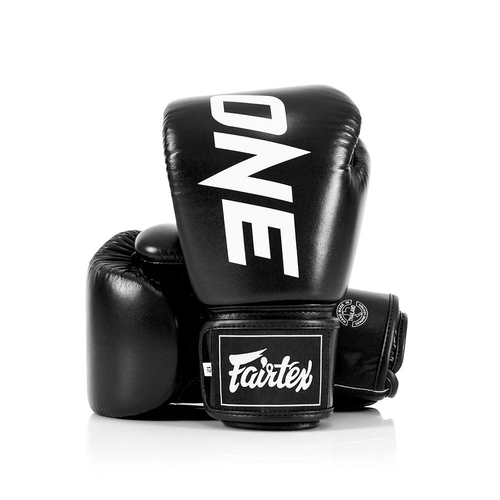 BGV One Перчатки Fairtex X One Championship