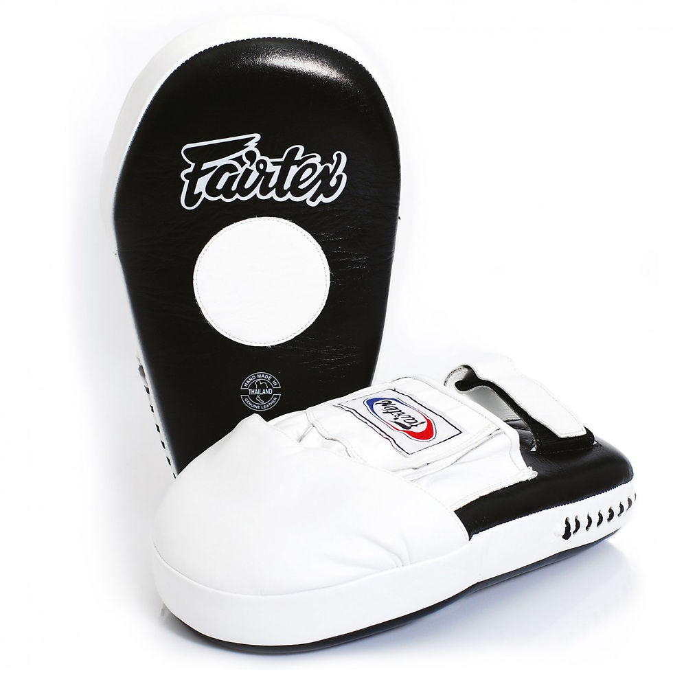 Миниатюра: FMV8 Fairtex Focus Mitts Лапы для бокса Удлинённые