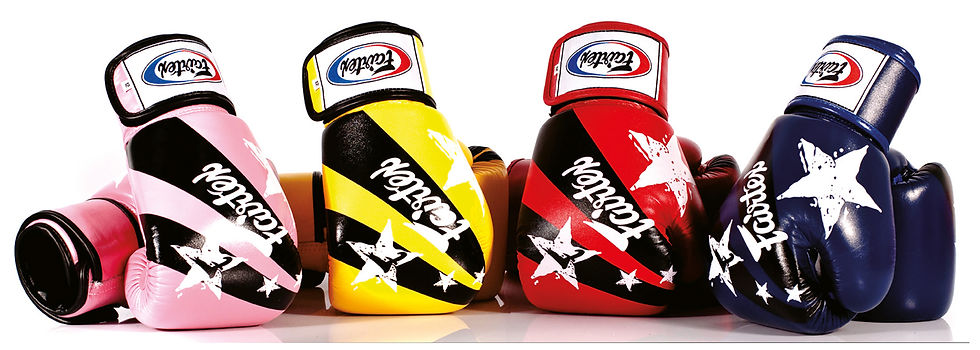 BGV1 Fairtex "Nation Print" Blue. Перчатки бокс, цвет Синий