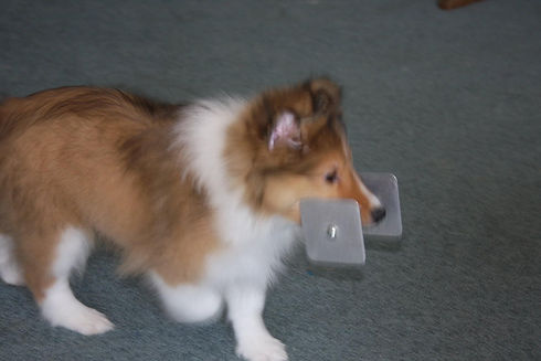image0.jpeg