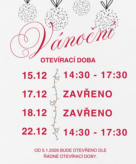 Monochrome Simple Christmas Opening Hours Flyer .png