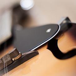 Untitled design (30).png