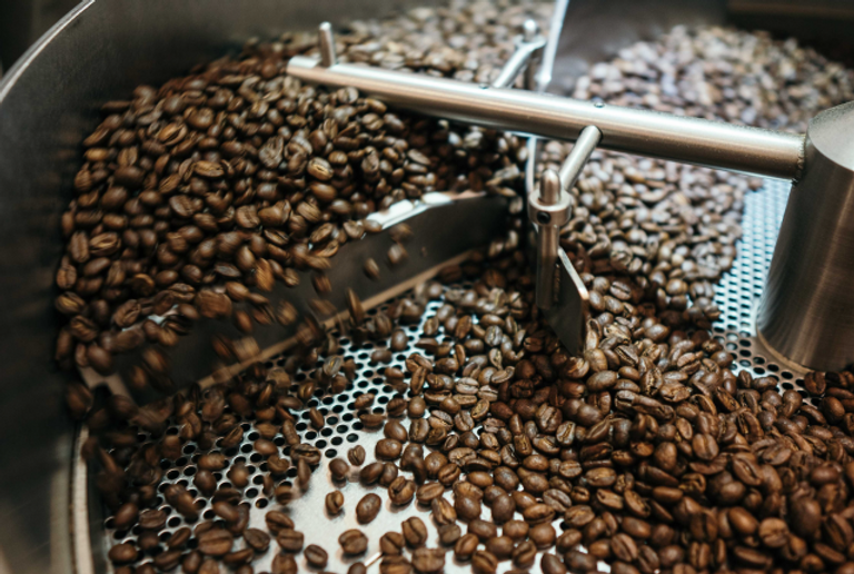 Robusta-12.png