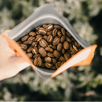 Robusta-11.png