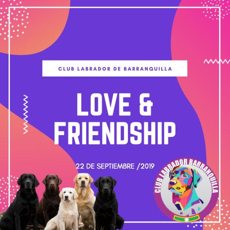 Amor y Amistad