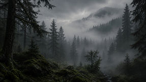 What I Want You to Experience When You Read The Runes of the North