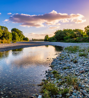 Lorraine June McDONNELL