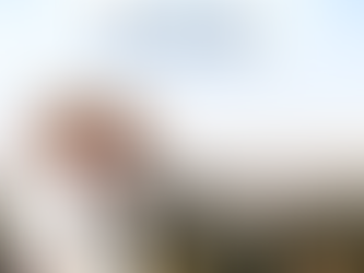 Nicholas Campbell (Nick) Bourke