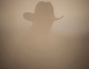 Mist adam