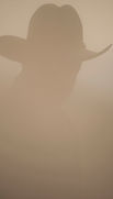 Einsamer Cowboy im Nebel, Depression