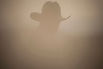 Einsamer Cowboy im Nebel, Depression