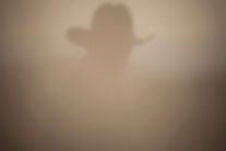 Man in the Mist
