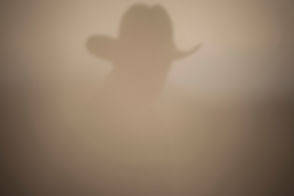 Man in the Mist