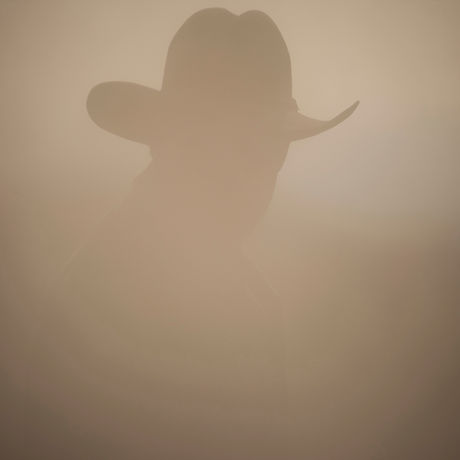 Man in the Mist