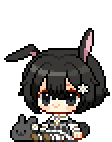 13.gif