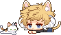 1.gif