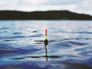 Fishing in Living Waters