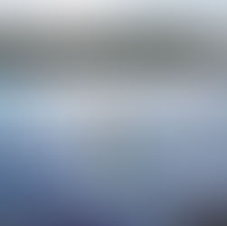 TRAVIS MCDONALD | The Dancer and the Lure