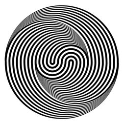 Marina Apollonio
Marina Apollonio artista
Marina Apollonio artist
Marina Apollonio works
Marina Apollonio artworks
Marina Apollonio opera
Marina Apollonio opere
Marina Apollonio Dinamiche Circolari