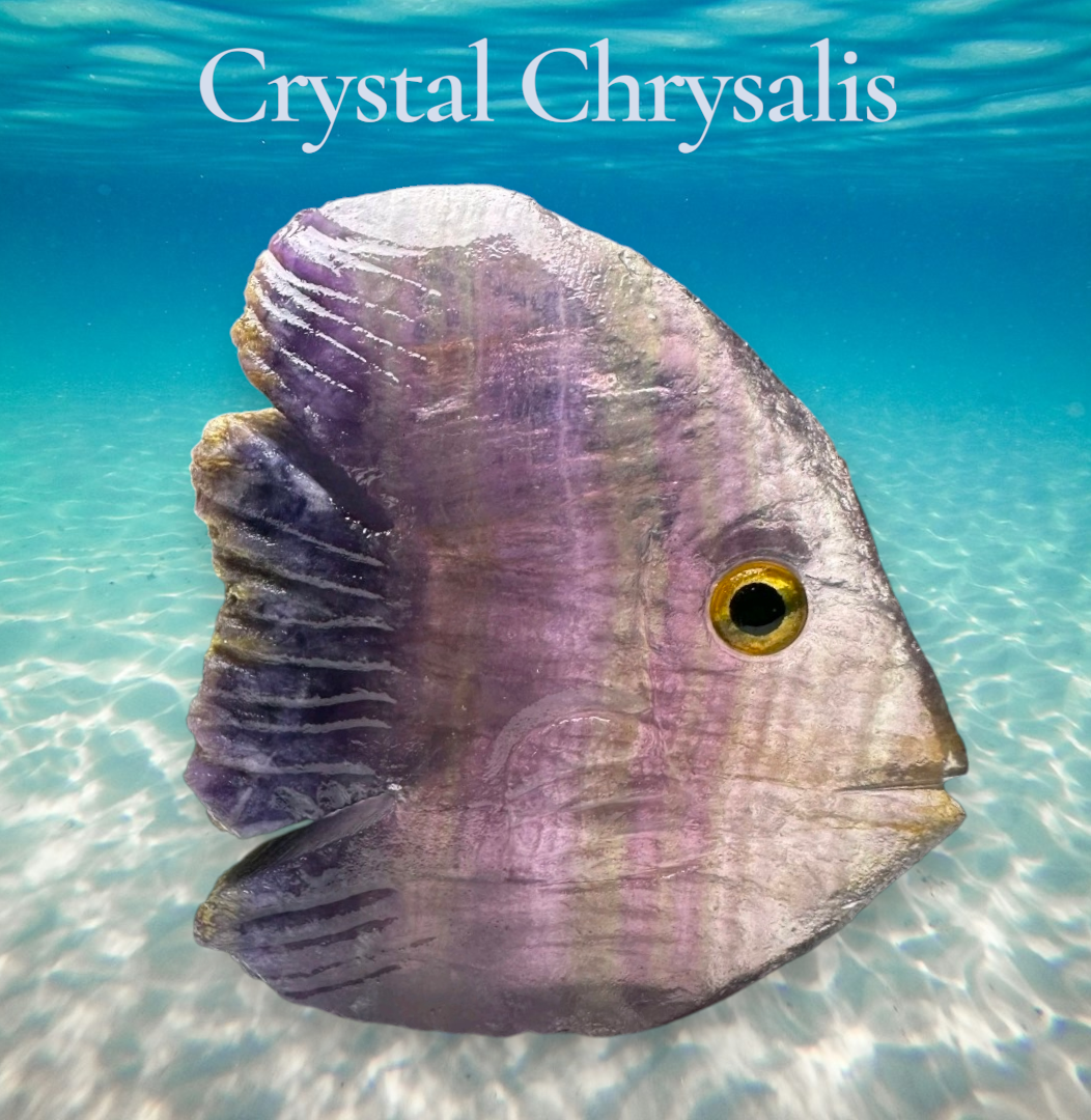 Natural Hand Carved Life Like Fluorite Crystal Fish Stone Collectible