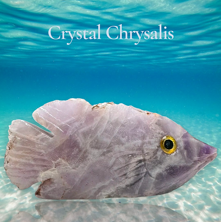 Natural Hand Carved Life Like Amethyst Crystal Fish Stone Collectible