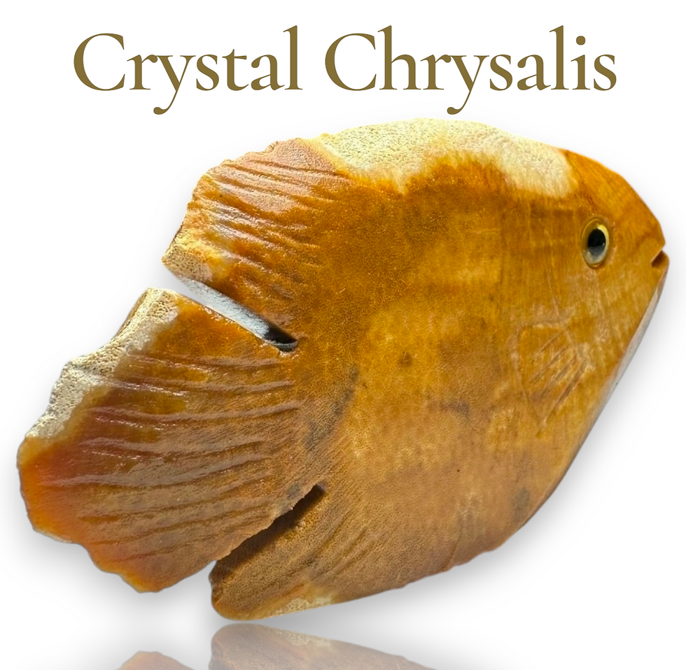 Thumbnail: Natural Hand Carved Life Like Agatized Coral Gemstone Fish Stone Collectible