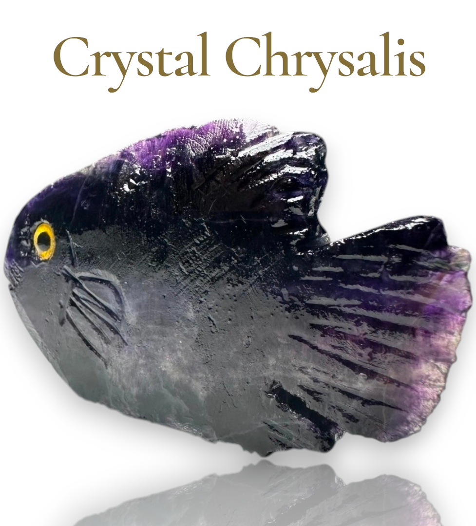 Thumbnail: Natural Deep Purple Fluorite Hand Carved Life Like Fish Stone Collectible