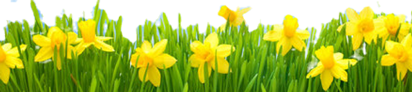 360_F_71541304_Xvl8sCa5x57uSTk1Ojj3GDlpu