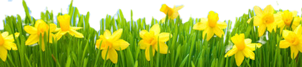 360_F_71541304_Xvl8sCa5x57uSTk1Ojj3GDlpu