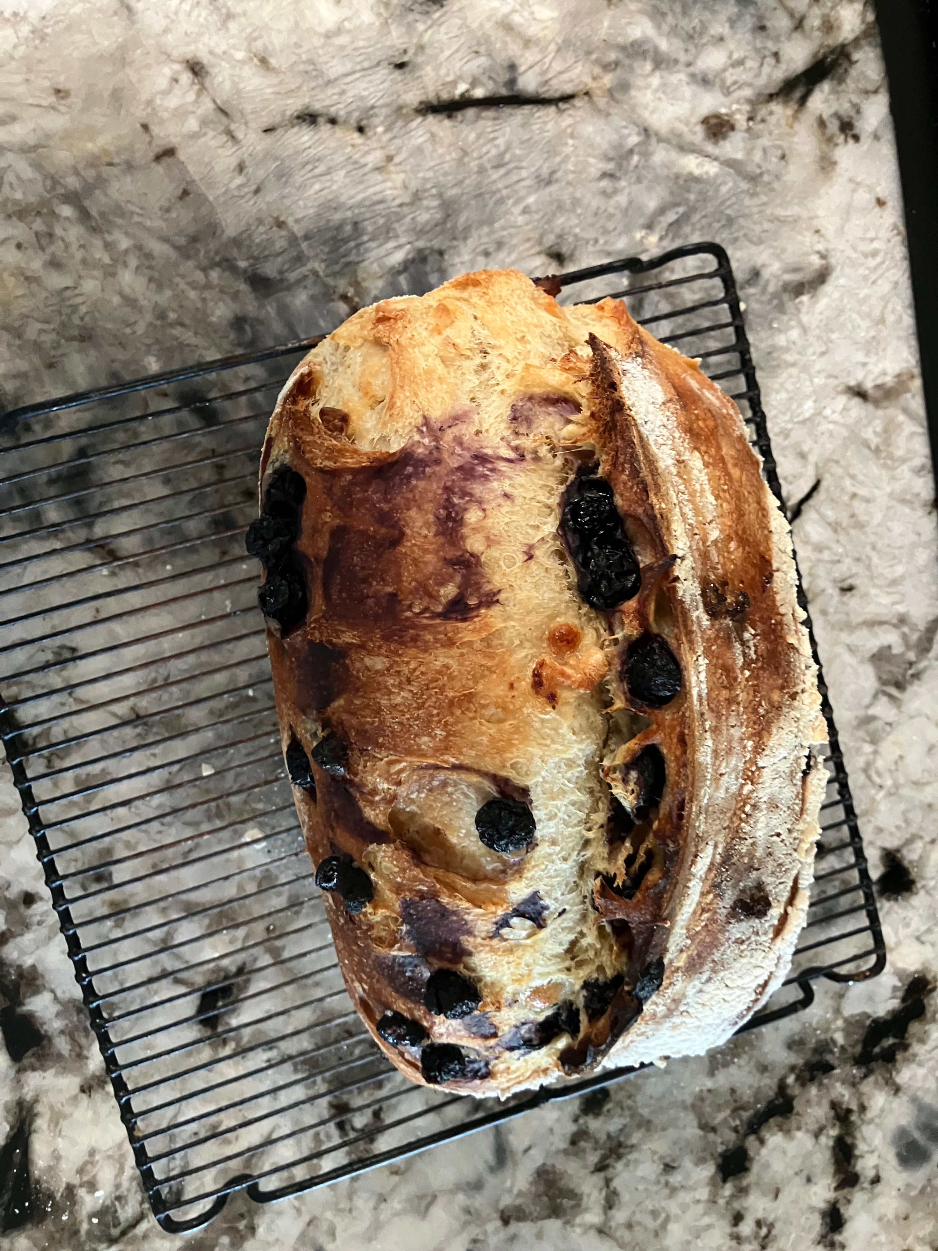 Blueberry Lemon Sourdough