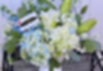 Thumbnail: Aurora
