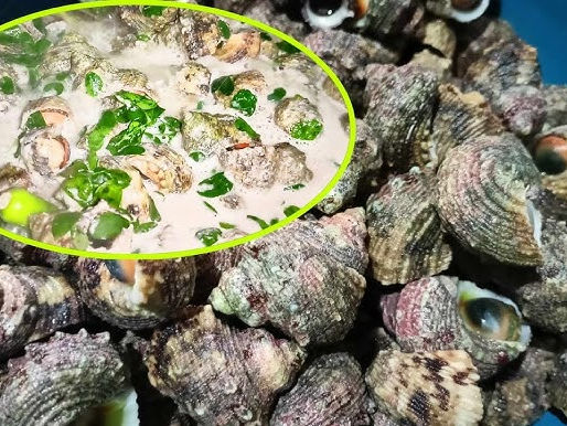 "From Low Tide to Table: Discovering Pandan’s Ginataang Kinhason"                                                                                                        