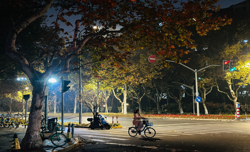 The Night Watcher’s Solitude