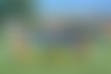 Команда ДЮСШ "Академія футзалу" 2014 р.н. переможець футбольного турніру «Юні таланти»