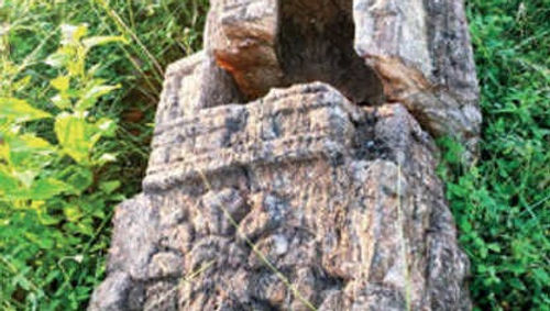 Neglect of Buddhist Sites:
The Enigma of Indian Archaeology