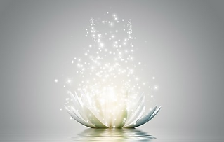 Lotus.PNG