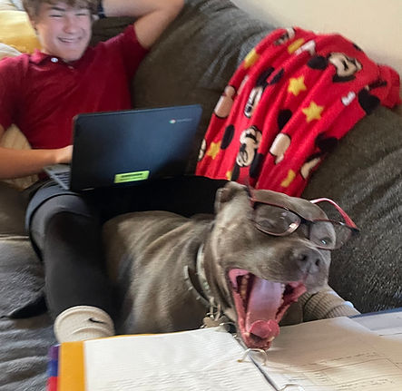 IMG_6320 - Rosalyn Lednick.jpeg