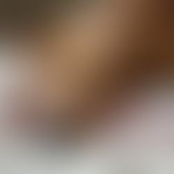 Essential Tips for Bathing a New Momma Dog and Her Pups