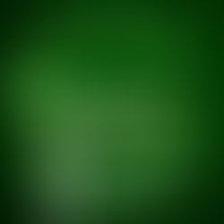 Bonus Postcard Party