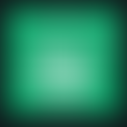 Driscoll St. Patrick's Day Fundraiser 