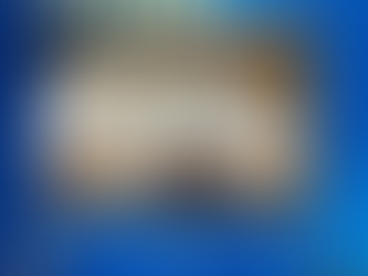 Kingston Signature Drive