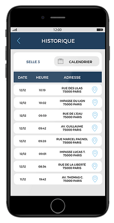 saddle_Historique_app